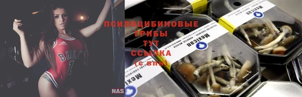 mix Гусь-Хрустальный