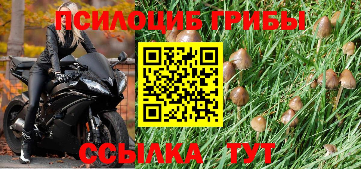 Галлюциногенные грибы MAGIC MUSHROOMS Нурлат