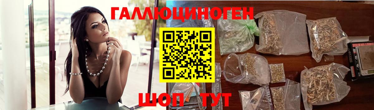 Галлюциногенные грибы Psilocybine cubensis Нурлат